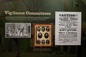 vigilance-committees